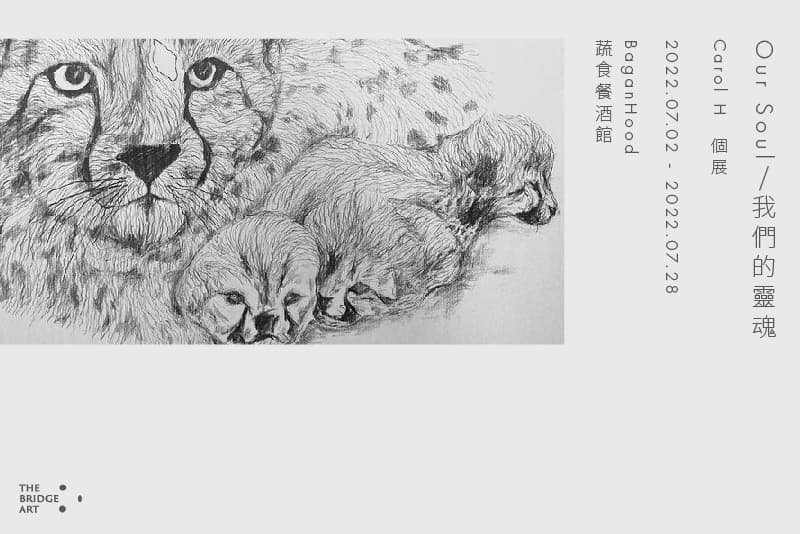 Our souls/我們的靈魂