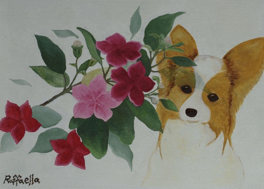 桃金孃與蝴蝶犬