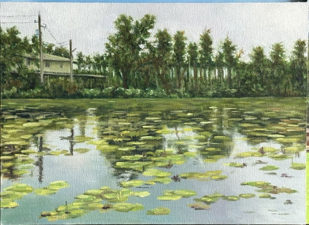 三峽田野的睡蓮池