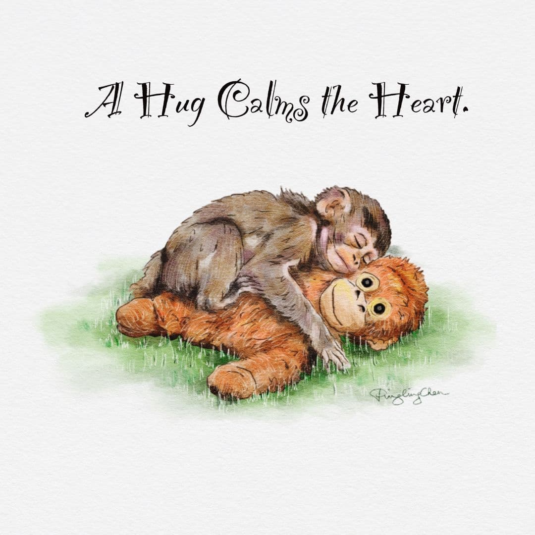 Small Courage 1: A Hug Calms the Heart