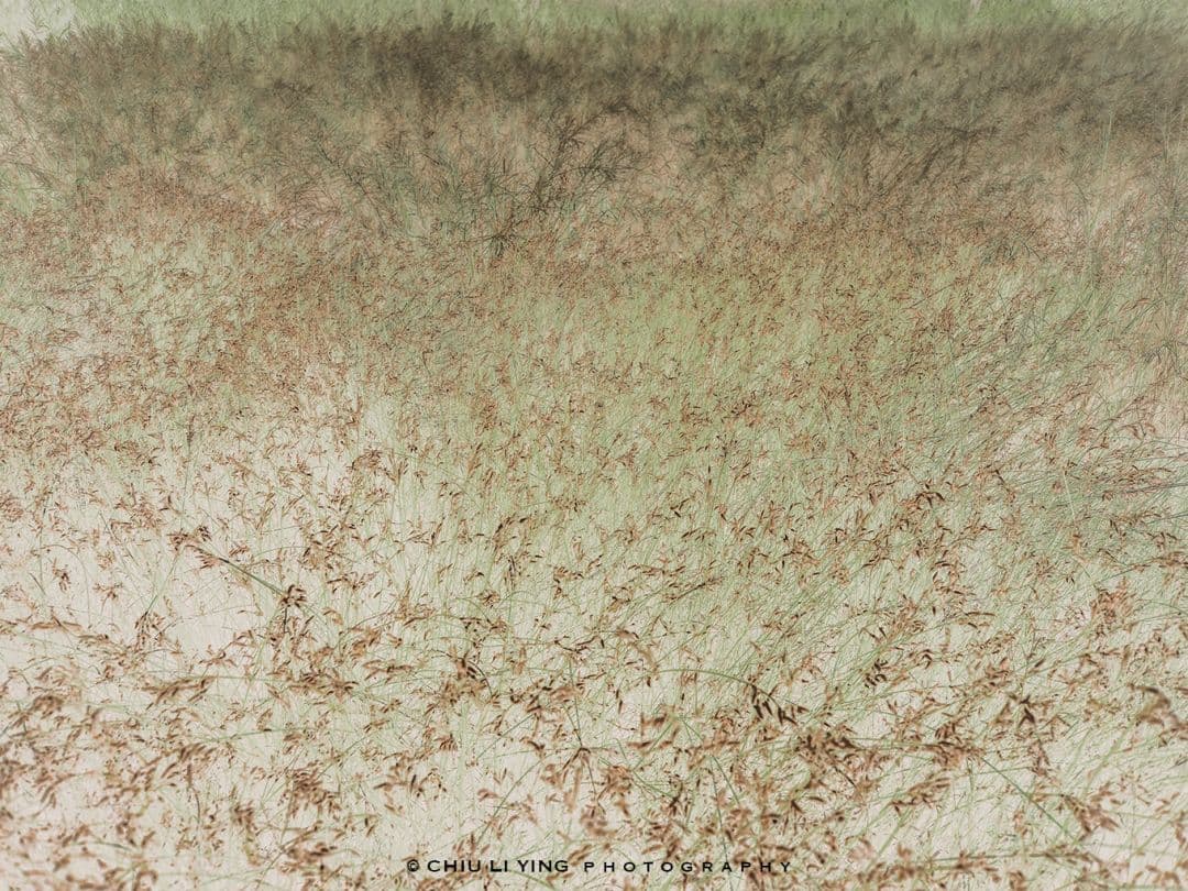 草間靡生,魔幻戲#03