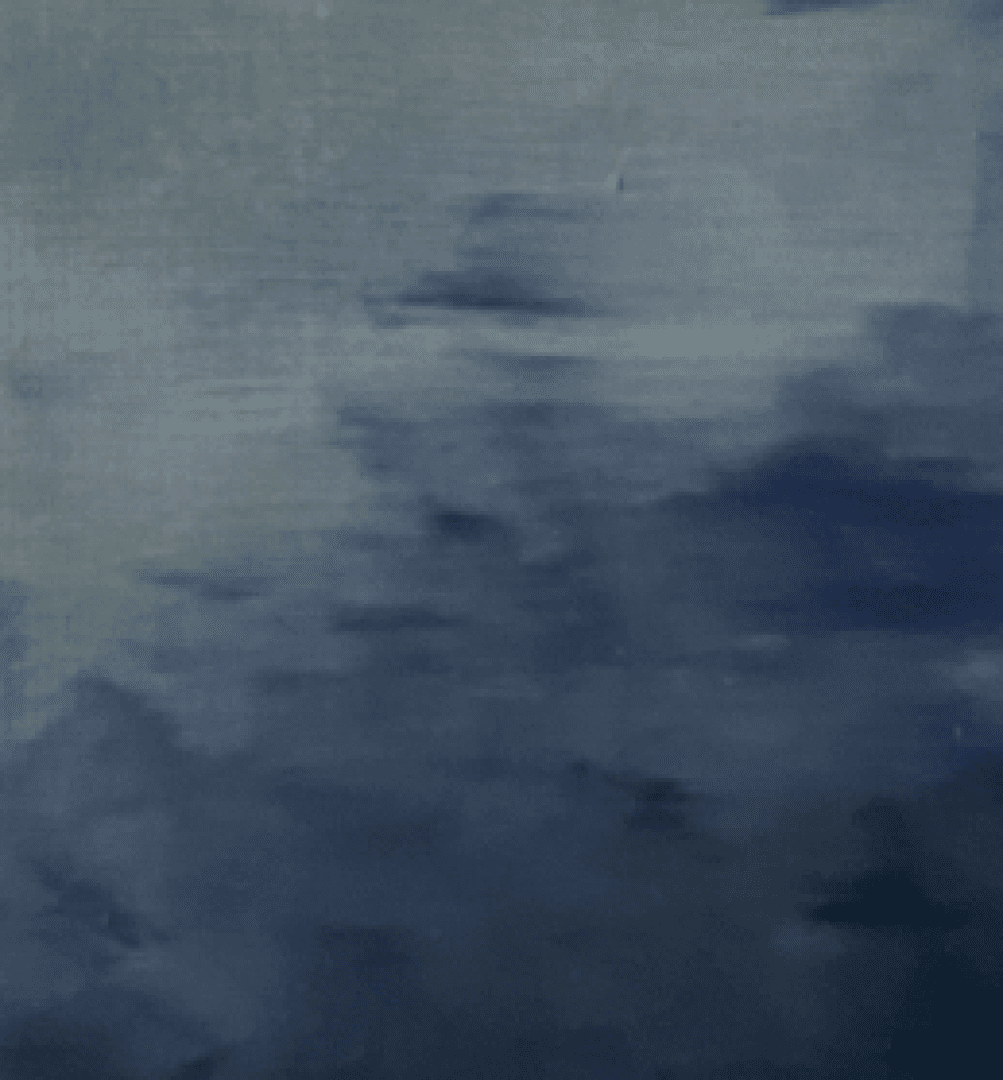 流動的樹2 3