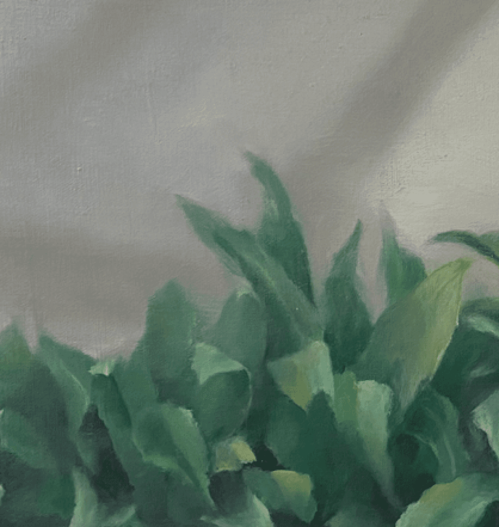植 2