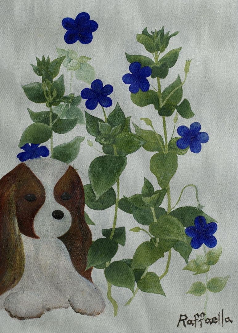 海綠與查爾斯王小獵犬