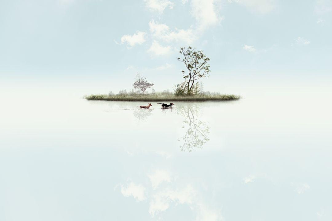 Island #10
