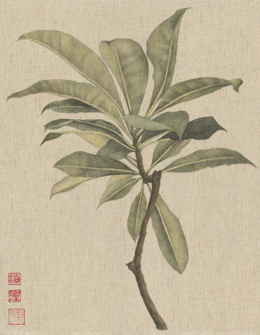 微墨圖鑑15