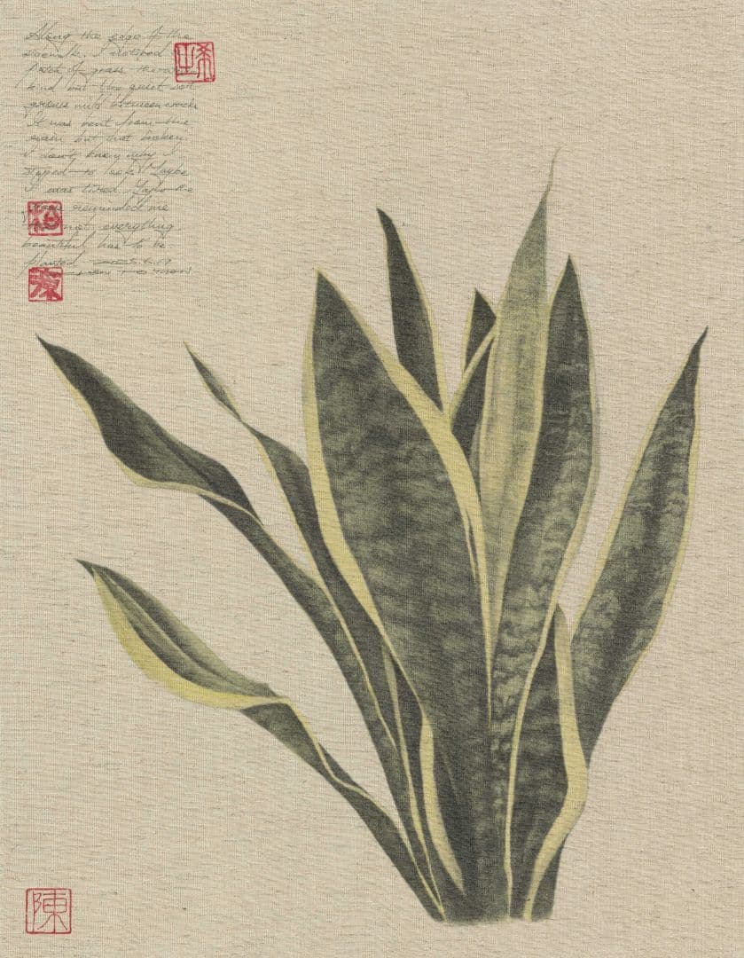 微墨圖鑑13