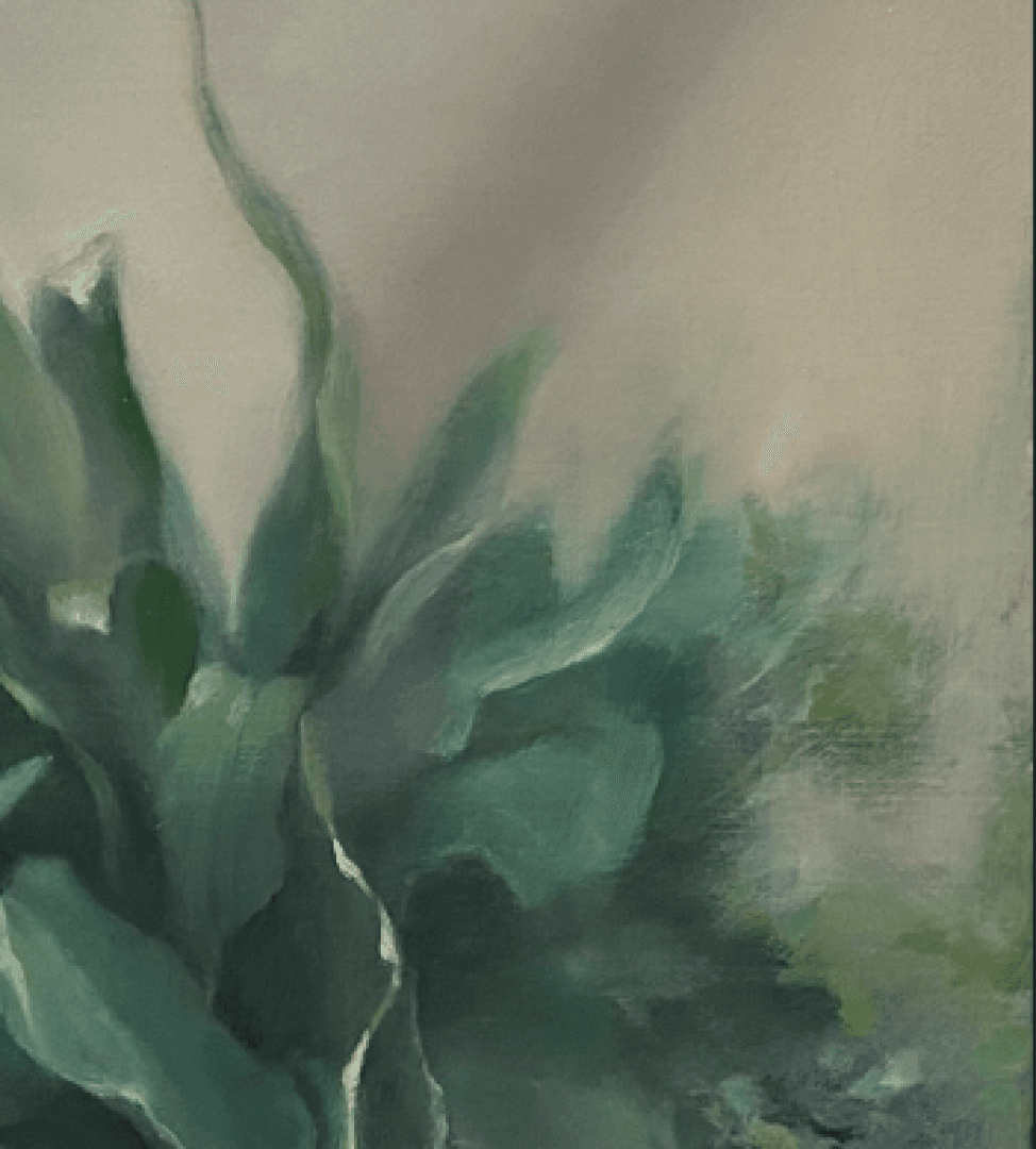 植 3