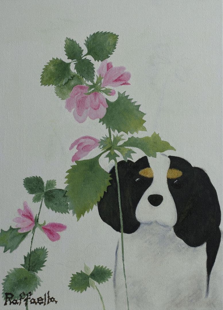 金錢薄荷與查爾斯王小獵犬
