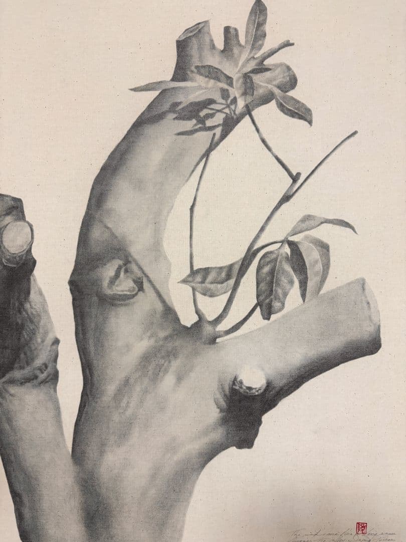 丹娜絲颱風後的重生 2