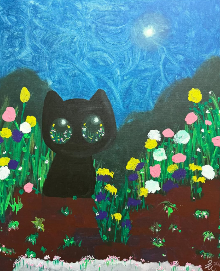 黑貓夜眺