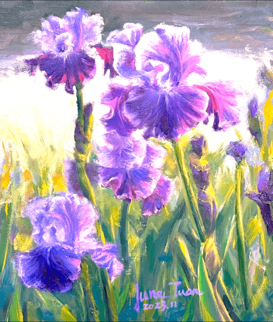 《晨光中的鳶尾花》Irises in Morning Light