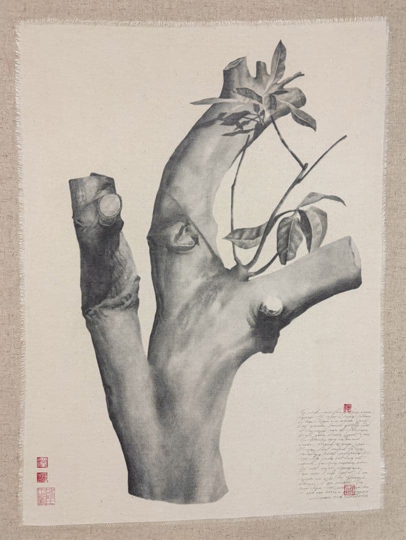 丹娜絲颱風後的重生