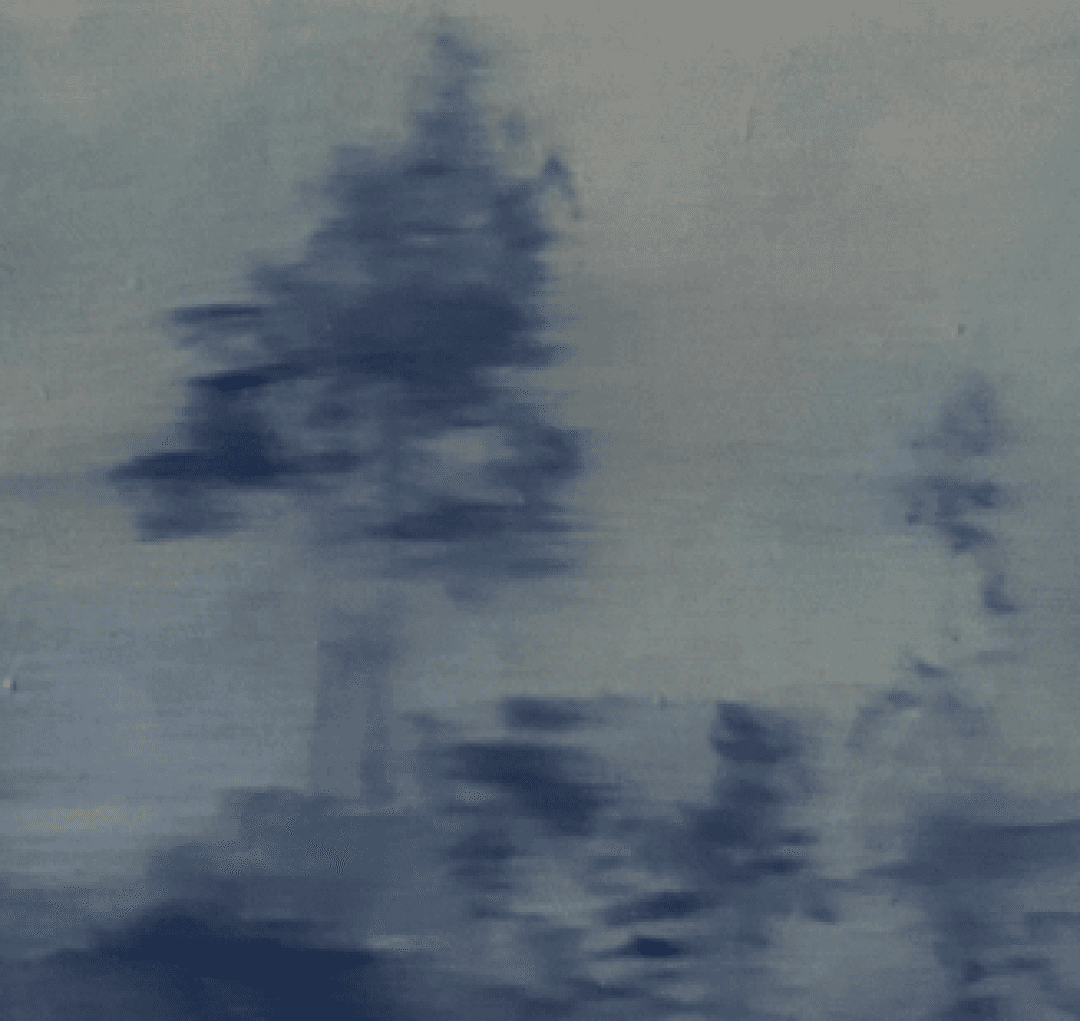 流動的樹2 2