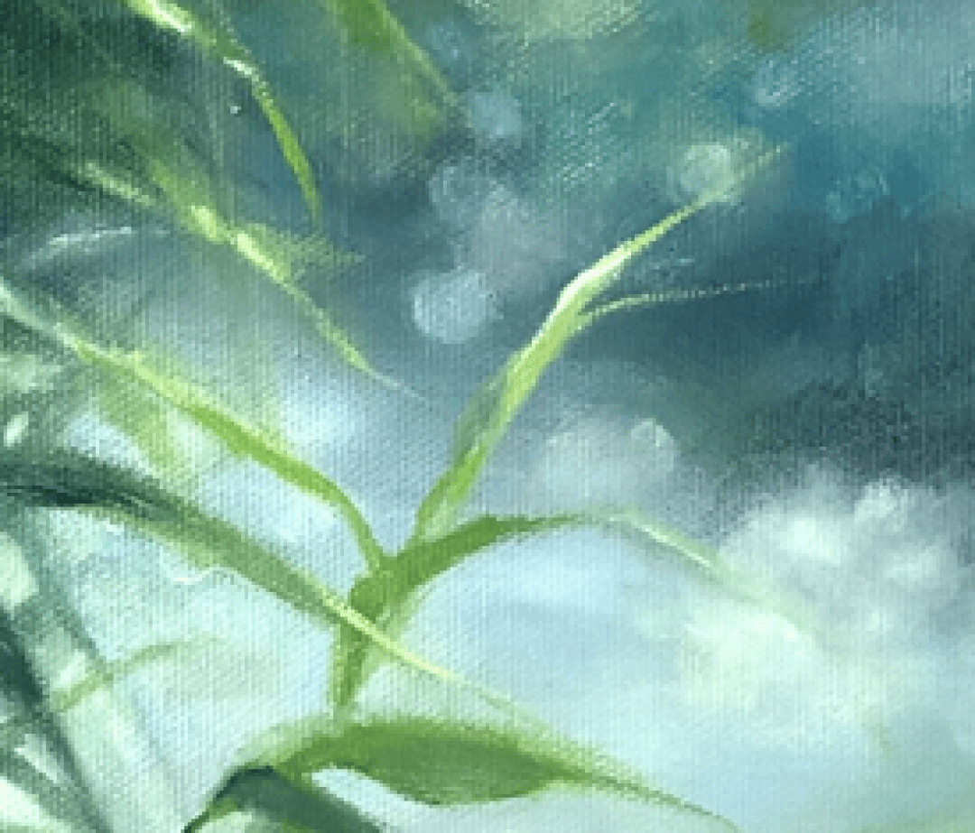 曳影2 2