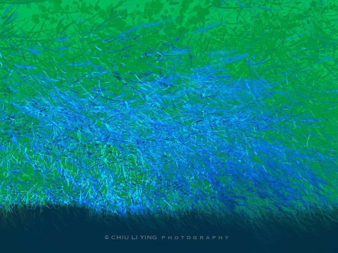 草間靡生,魔幻戲#04