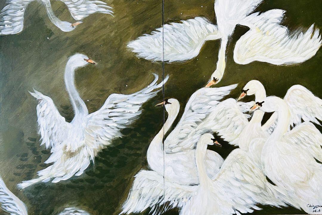Swan