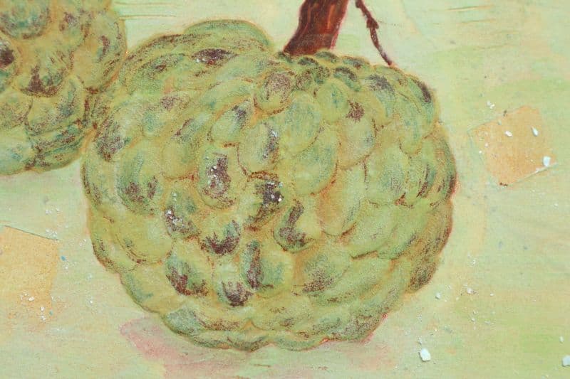 Sugar Apple | 釋 迦 3