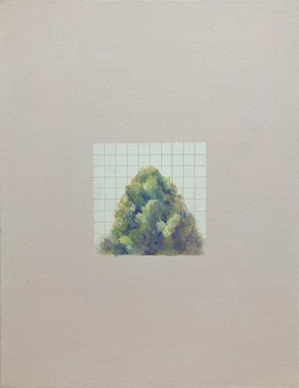 試圖理性觀看一棵樹-3