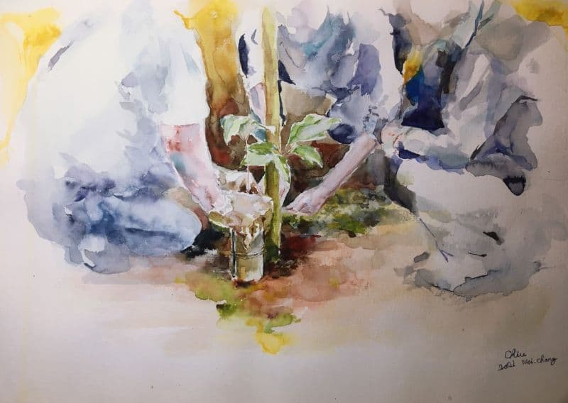 台灣山林復育協會 協力 1