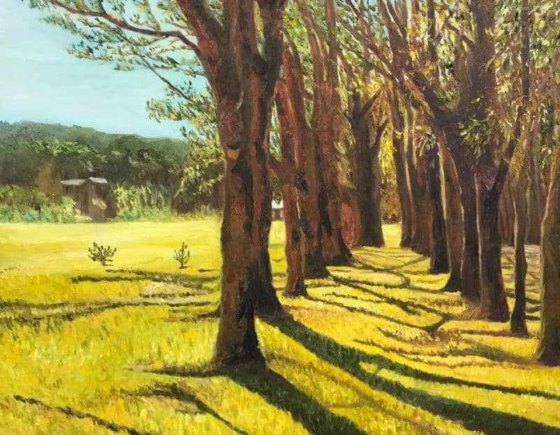 三育基督書院的黃金草坪 1