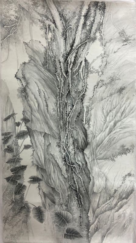 Ordinary mountain forest