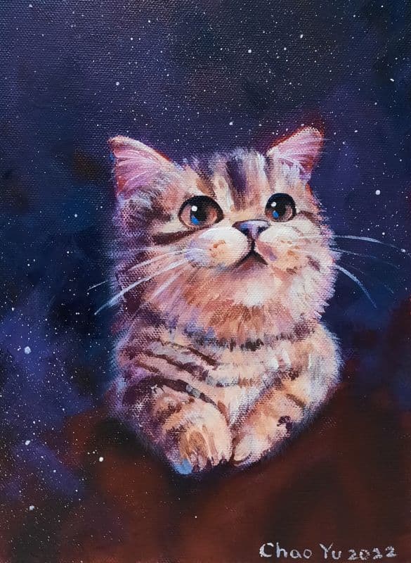 星空之中 1