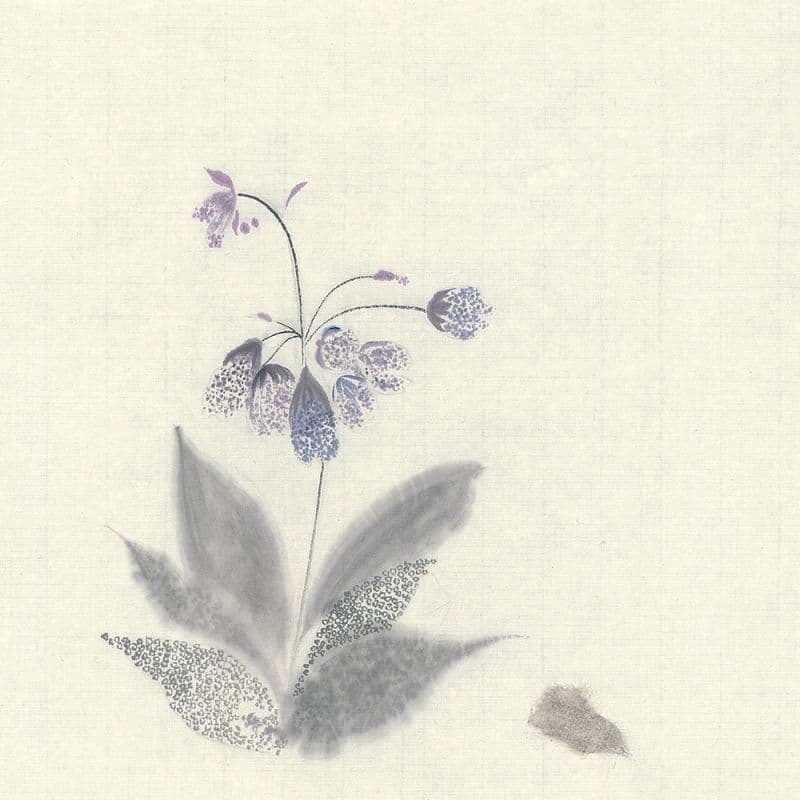 紫色的花卉 Purple flowers