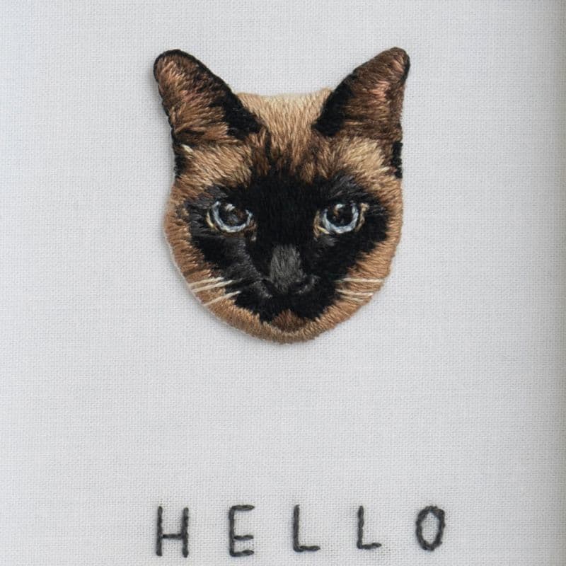 Hello