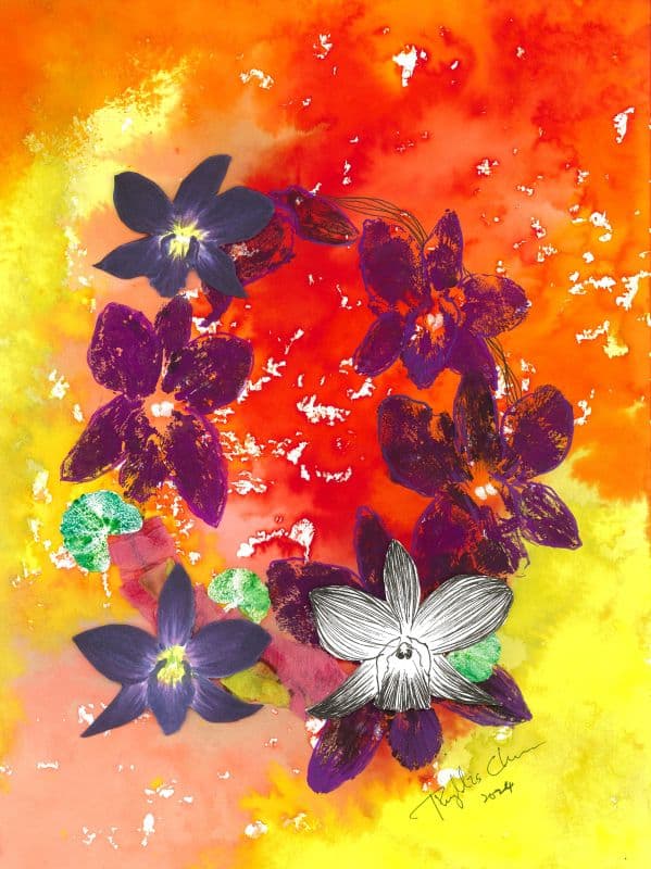 The Flower of Universe – Dendrobium 宇宙之花石斛蘭