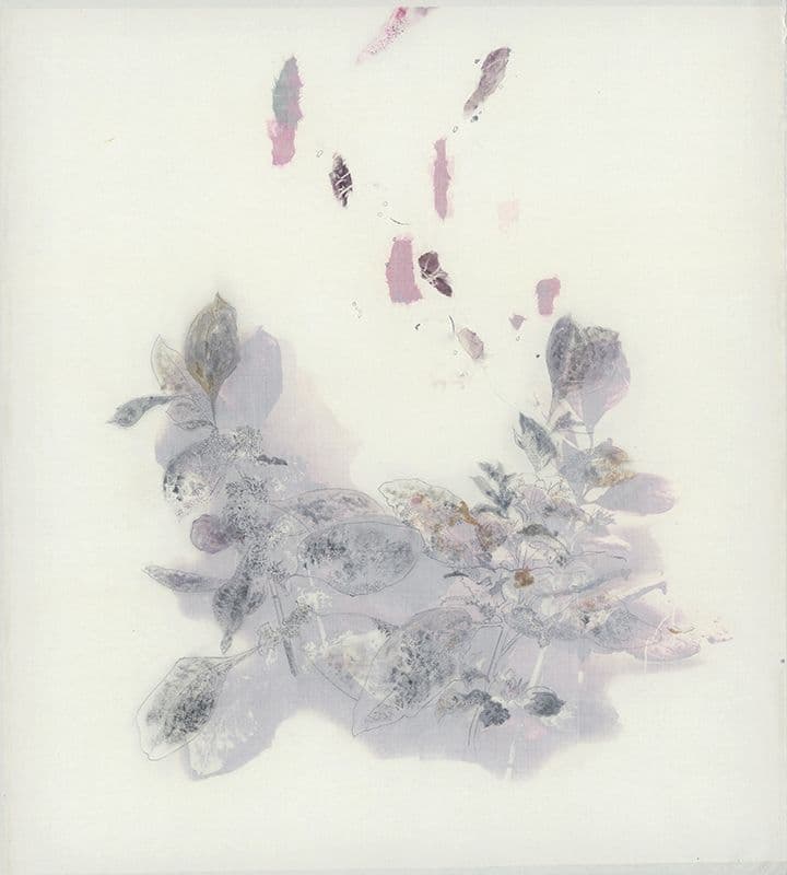 押花 Embossed flower