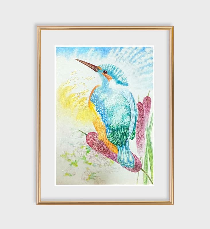 大地之鳥 kingfisher