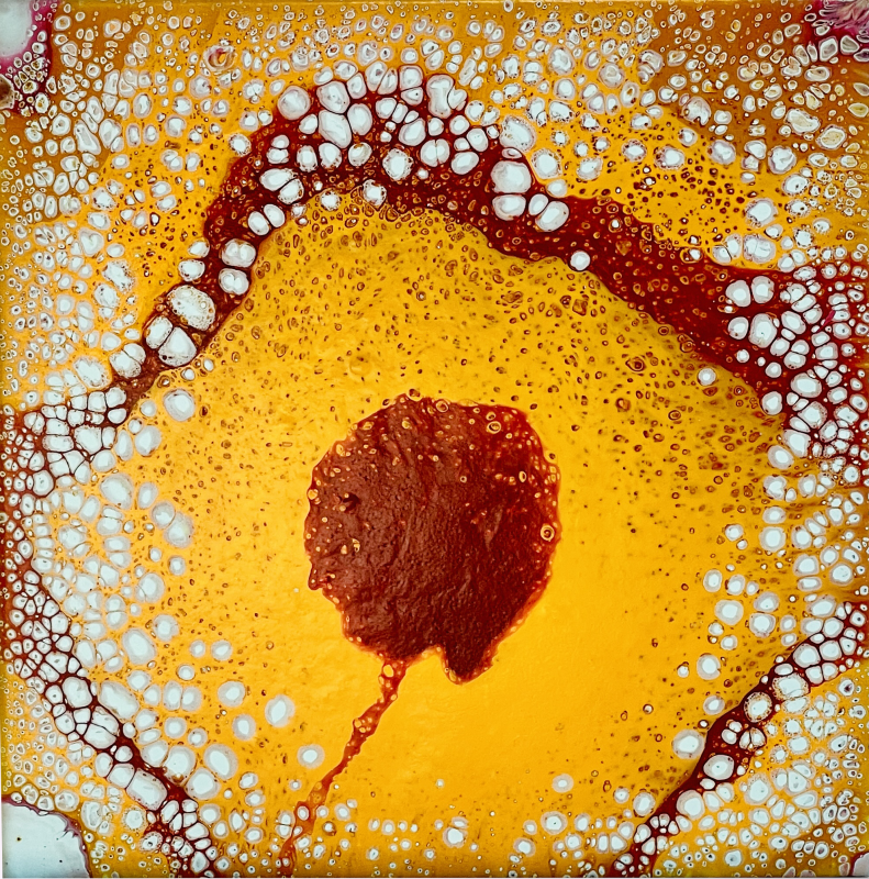 愛麗絲的魔幻仙境