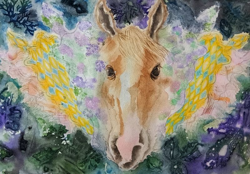 多樣貌 Diversity 1