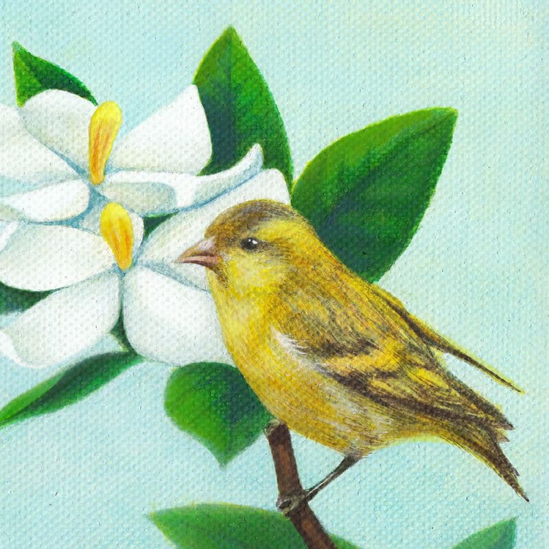 封爵 3