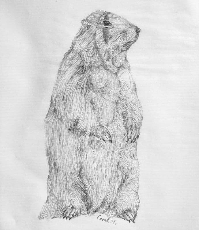 土撥鼠無臉男/Groundhog No face man 1