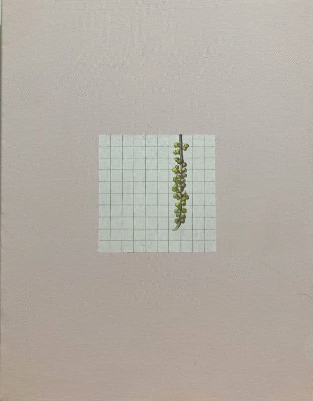 試圖理性觀看一串果實-1