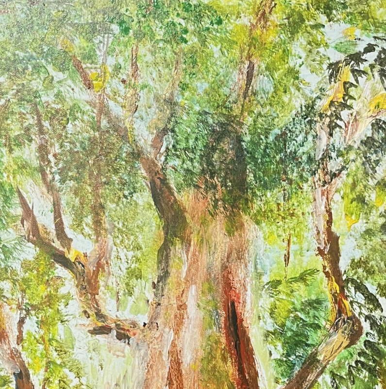 司馬庫斯巨木媽媽 Ⅰ
Yaya Quparung Ⅰ 2