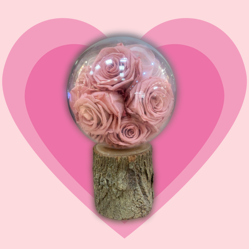 永恆的愛 Everlasting Love 1