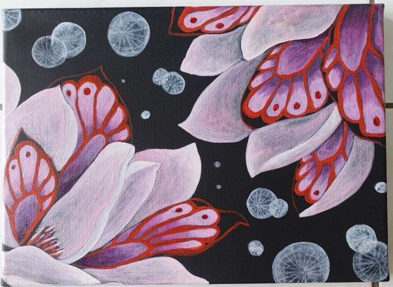 蝶花12號