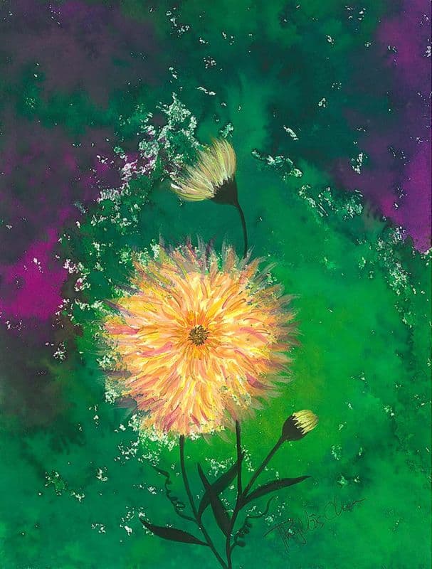 The Flower of Universe - Dahlias 宇宙花系列—大理花