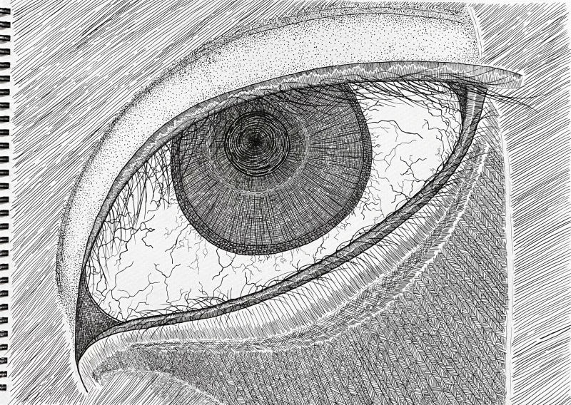 Pieces of me. The 2nd one, the eye.