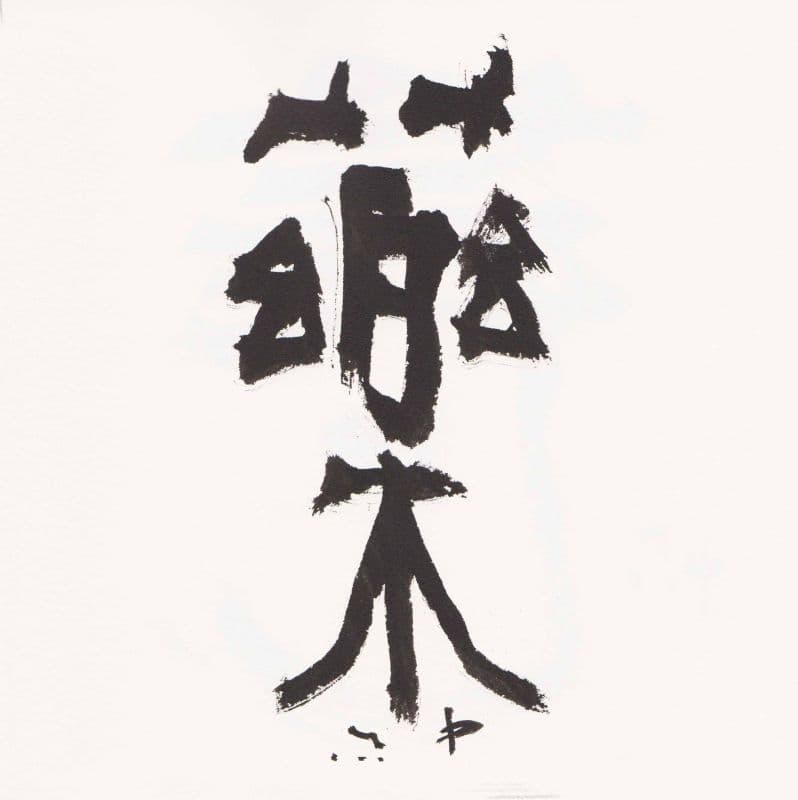 藥 1