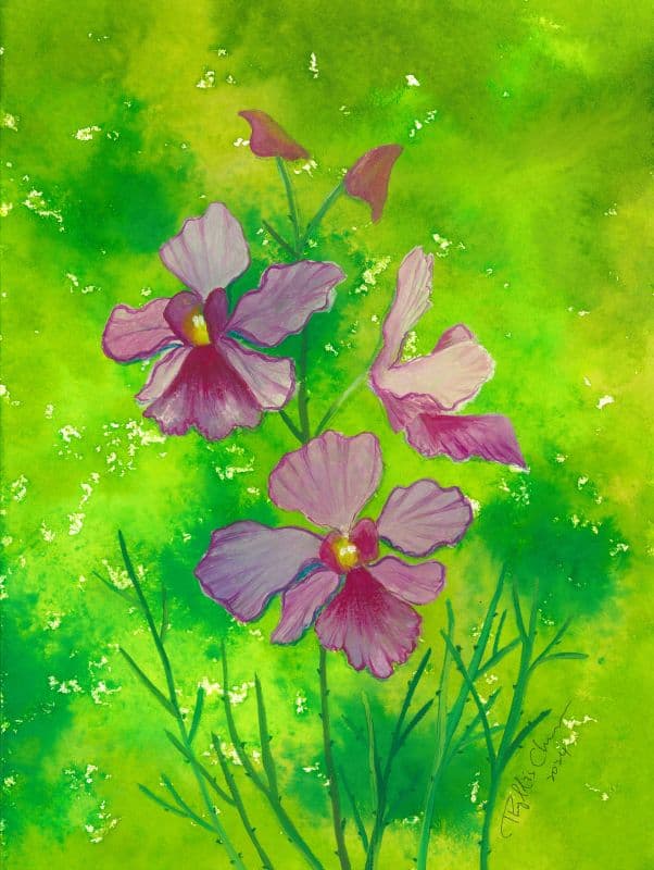 The Flower of Universe – Vanda 宇宙之花萬代蘭