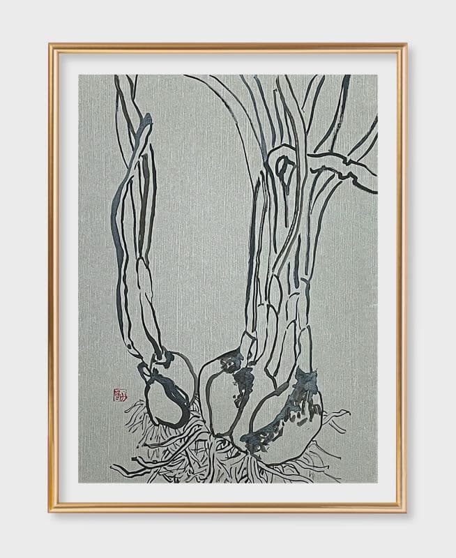 水仙花  Narcissus