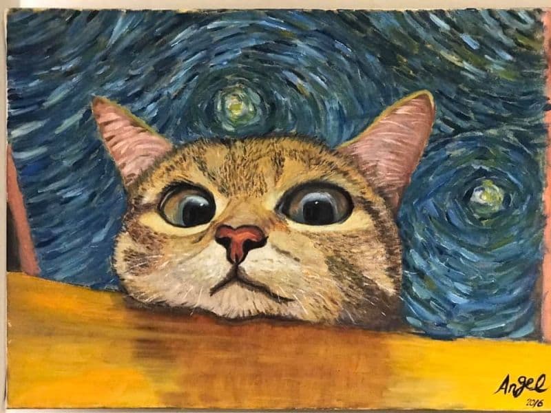 貓咪的異想世界 1