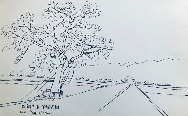 台東金城武樹寫生