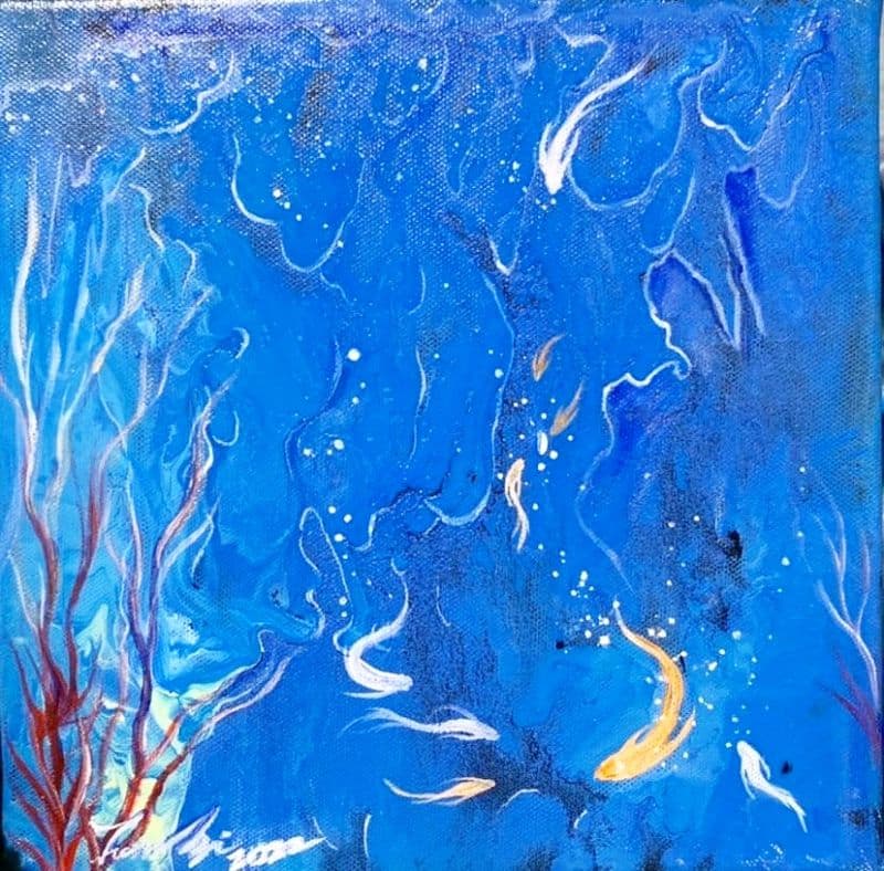 觀魚日常生活,相聚