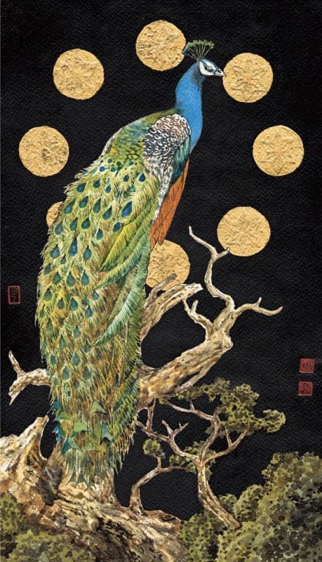 金耀 · 孔雀