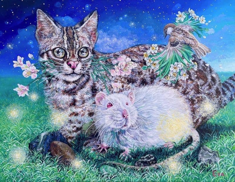 期待與你再次相遇